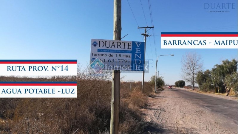 1.5 Hectáreas - Venta - Barrancas - Maipu