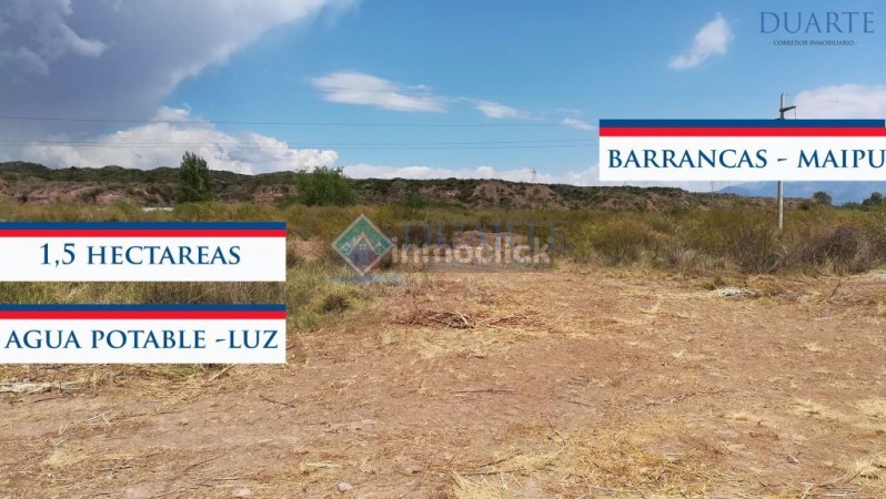 1.5 Hectáreas - Venta - Barrancas - Maipu