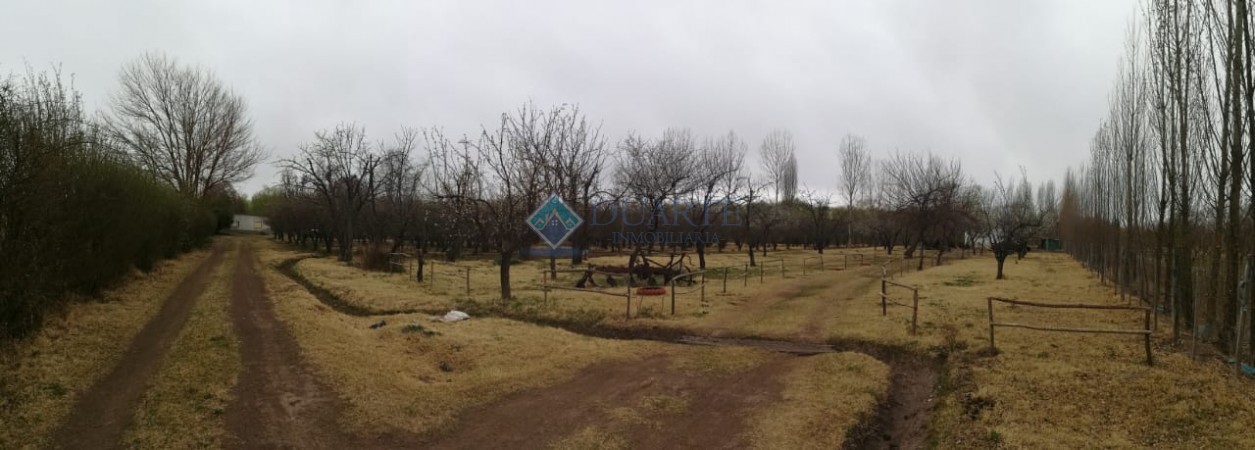 QUINTA – COLONIA LAS ROSAS – TUNUYAN