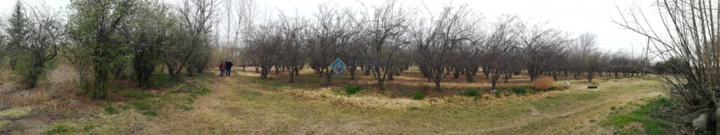 QUINTA – COLONIA LAS ROSAS – TUNUYAN